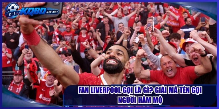 Fan Liverpool Gọi Là Gì? Giải Mã Tên Gọi Người Hâm Mộ