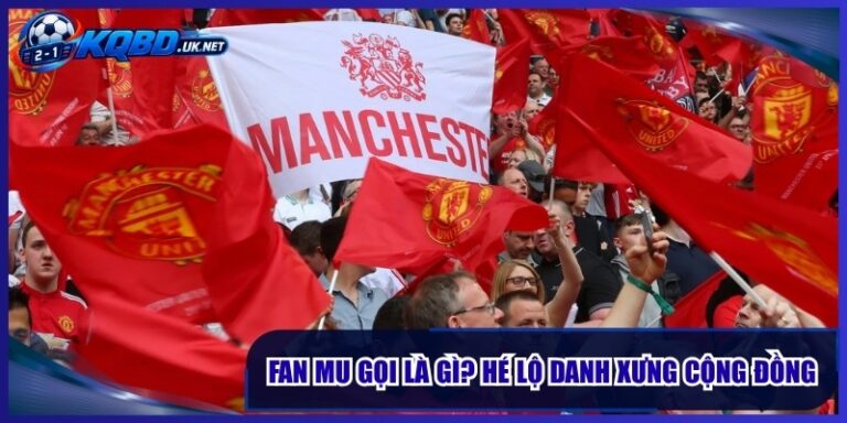 Fan MU Gọi Là Gì? Hé Lộ Danh Xưng Khiến Cộng Đồng Tự Hào