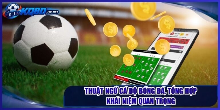 Thuật Ngữ Cá Độ Bóng Đá, Tổng Hợp Khái Niệm Quan Trọng